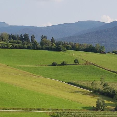 Wohnung Wiesengruen - Osserblick Lam Bagian luar foto